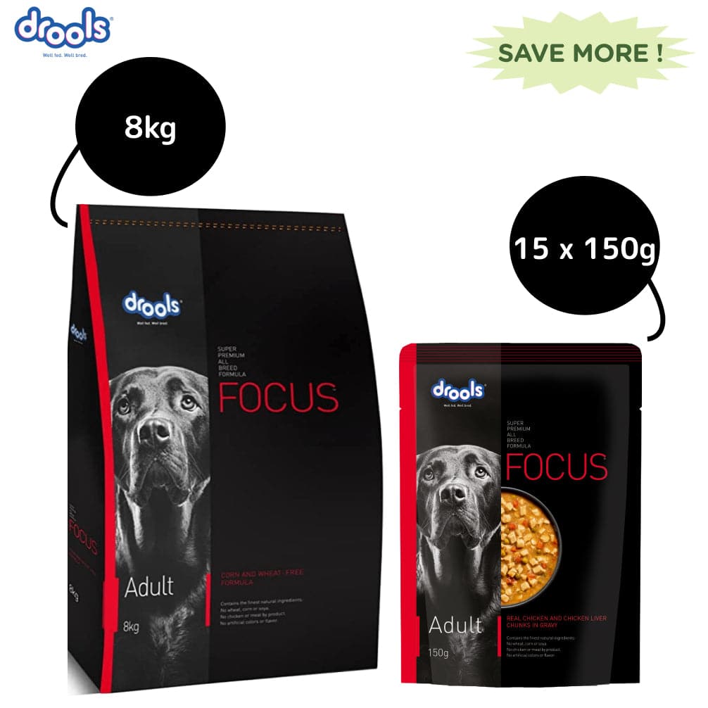 Drools Focus Super Premium Adult Dry Dog Food and Real Chicken & Chicken Liver Chunks in Gravy Adult Dog Wet Food Combo image 2