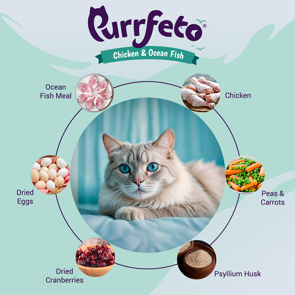 Purrfeto Chicken and Ocean Fish Cat Dry Food image 6