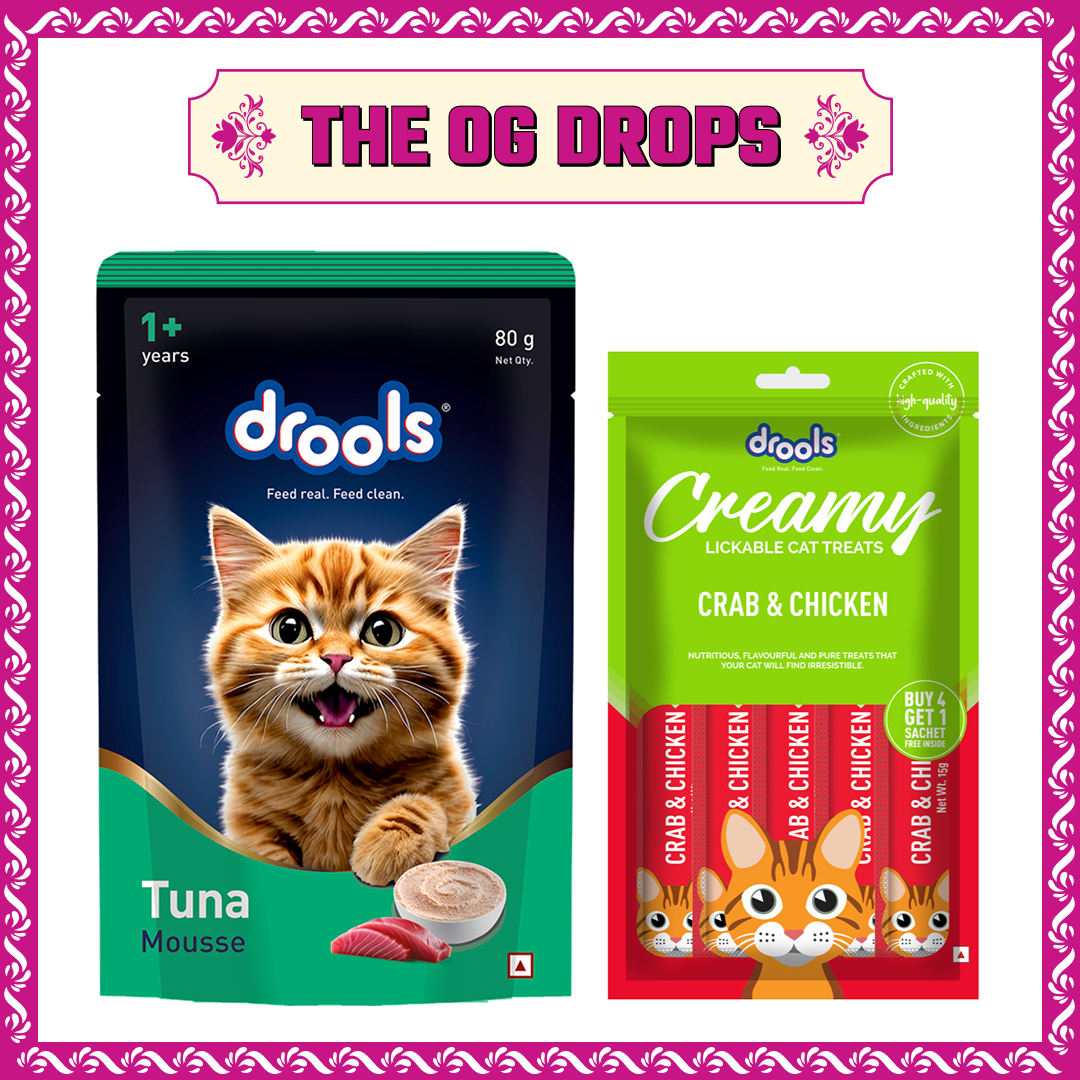 Drools Tuna Mousse Adult Cat Wet Food image 3
