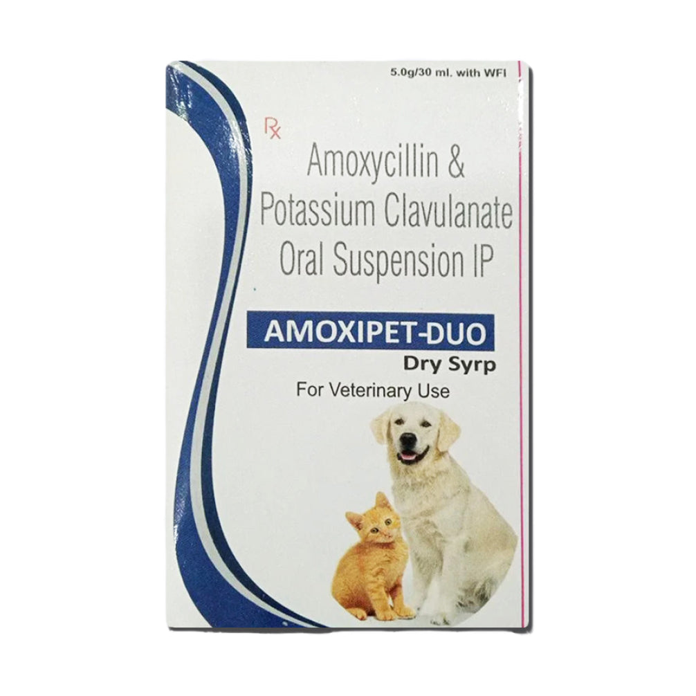Wellpet Amoxipet Duo Dry Syrup (Amoxycillin & Potassium Clavulanate) for Dogs & Cats