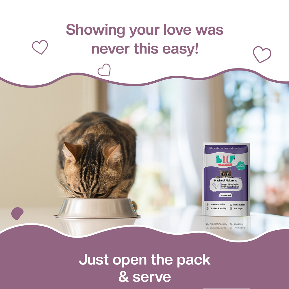 BLEP Mackerel Makarena Cat Wet Food image 9