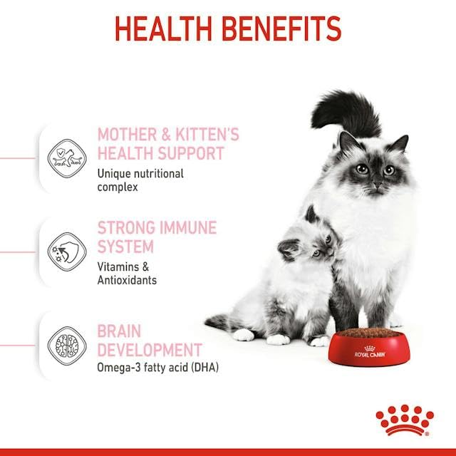 Royal Canin Mother & Babycat Cat Dry Food image 2