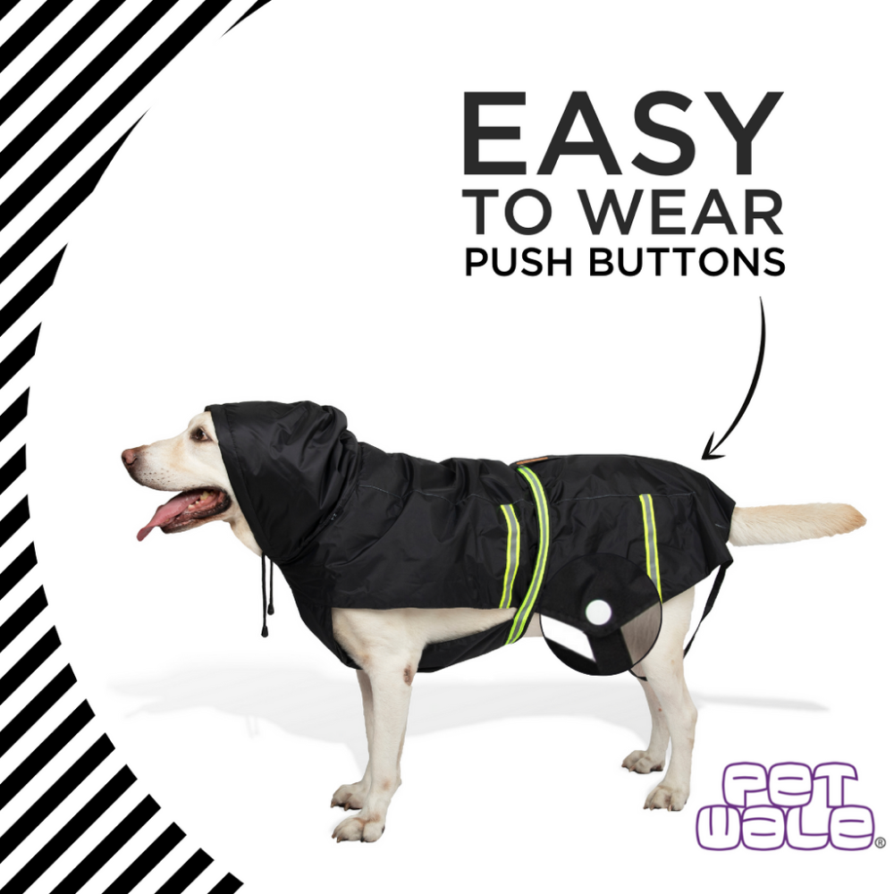 PetWale Reflective Raincoat for Dogs (Black) image 2