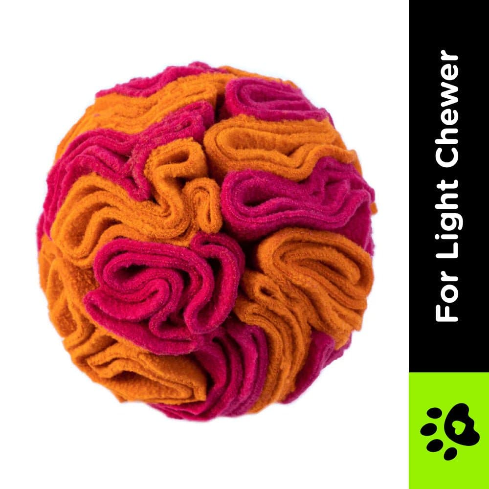 For The Love Of Dog Sniffer Ball Toy for Dogs (Pink/Orange) image 2
