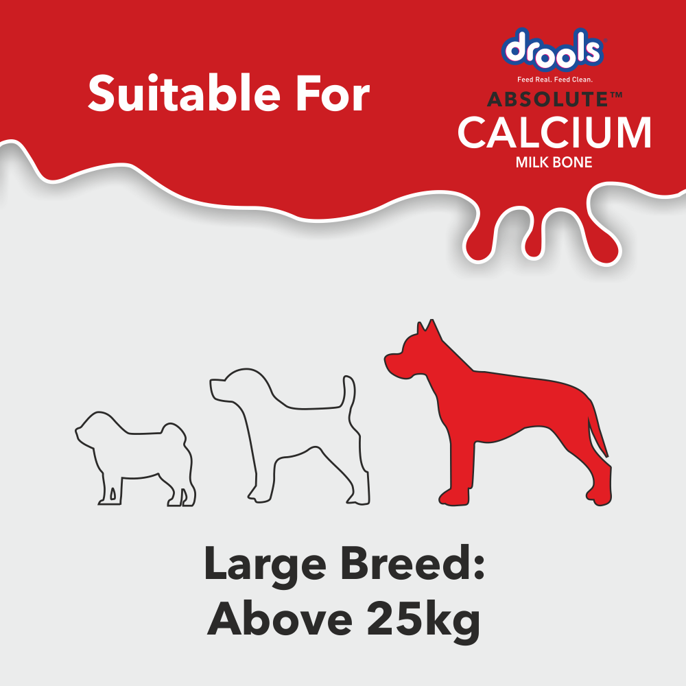 Drools Absolute Calcium Bone for Large Dogs image 5