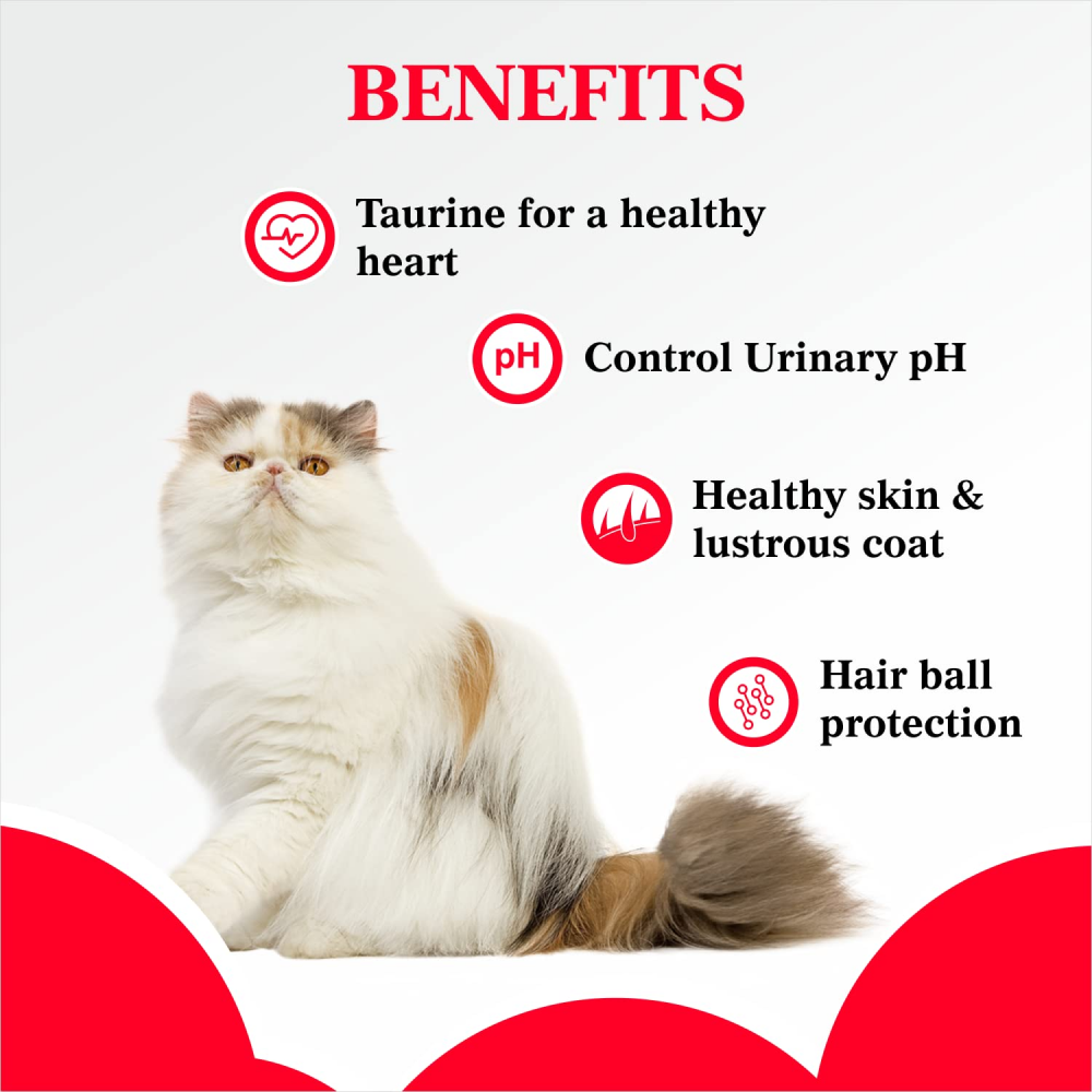 Purepet Ocean Fish Persian Adult Cat Dry Food image 5