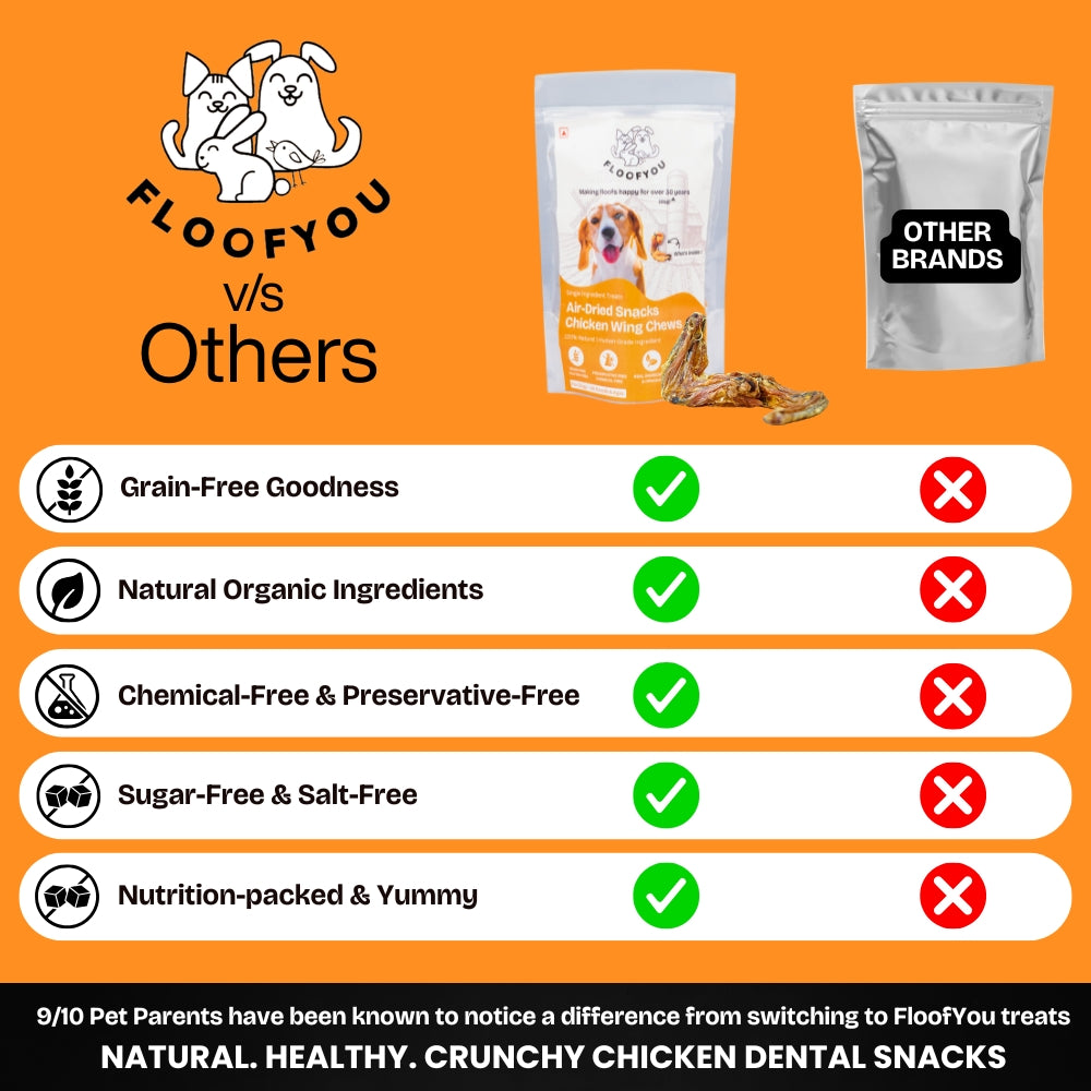 Floofyou Air Dried Chicken Wings Crunchy Dental Chew Dog Treats image 5