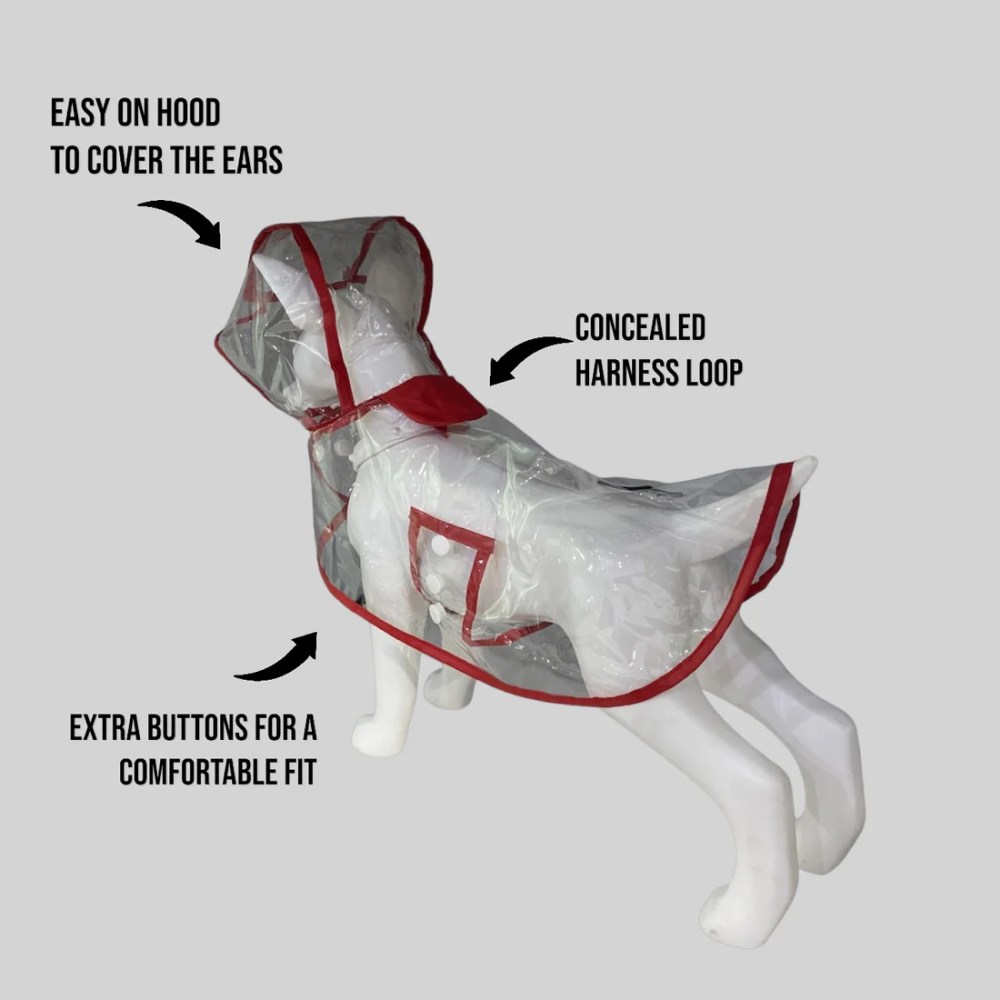 Talking Dog Club Waterproof Raincoat for Dogs (Red) image 3