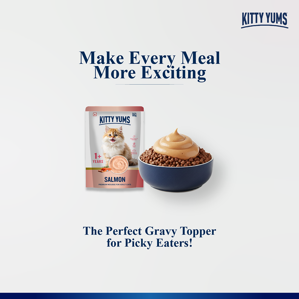 Kitty Yum Salmon Mousse Adult Cat Wet Food image 6