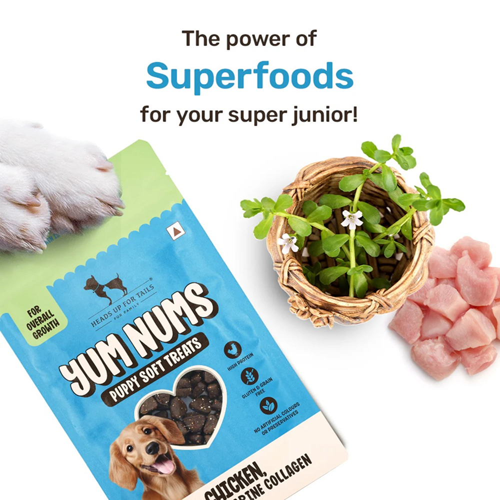 HUFT Yum Nums Chicken Brahmi and Marine Collagen Grain Free Soft Treats for Puppys image 4