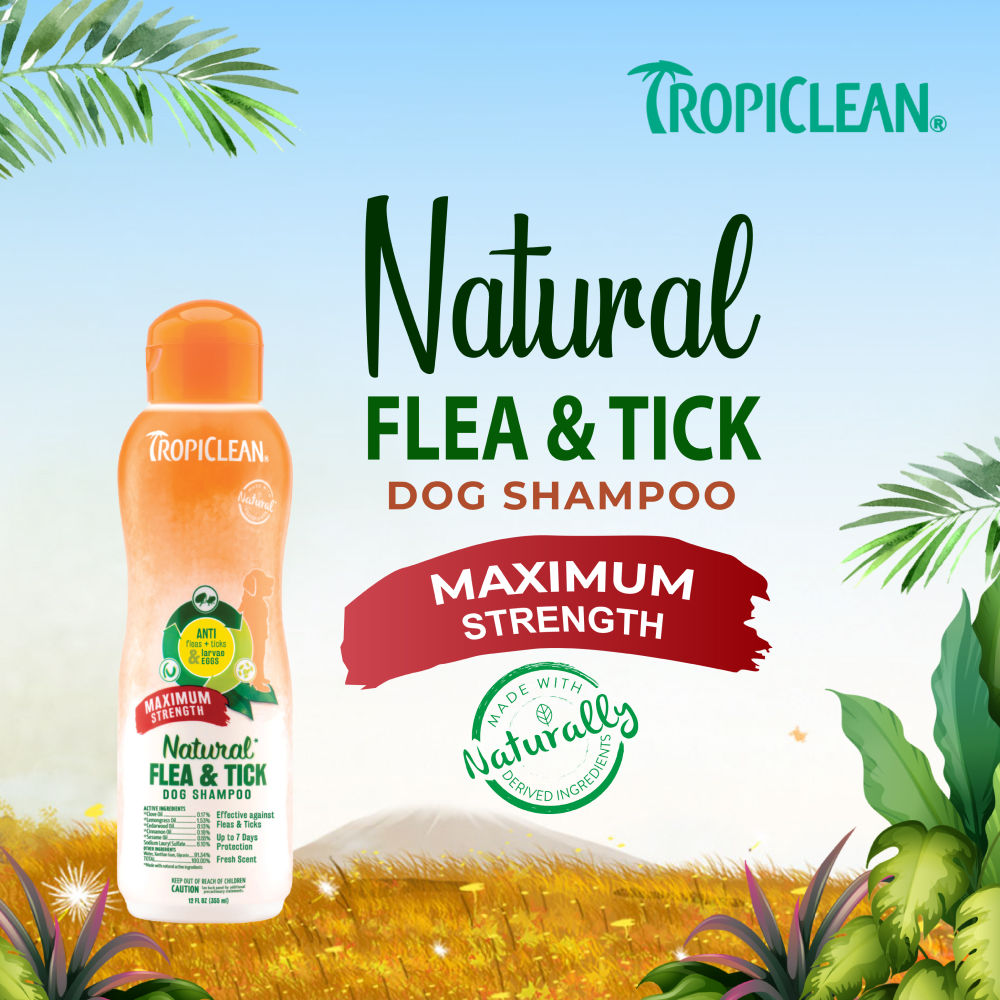 Tropiclean Maximum Strength Natural Flea & Tick Shampoo for Dogs image 8