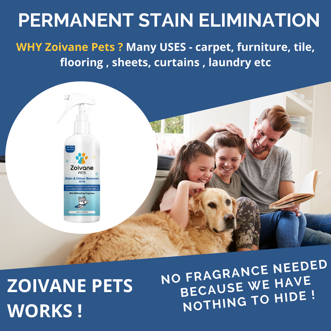 Zoivane Stain and Odour Eliminator for Dogs and Cats image 4