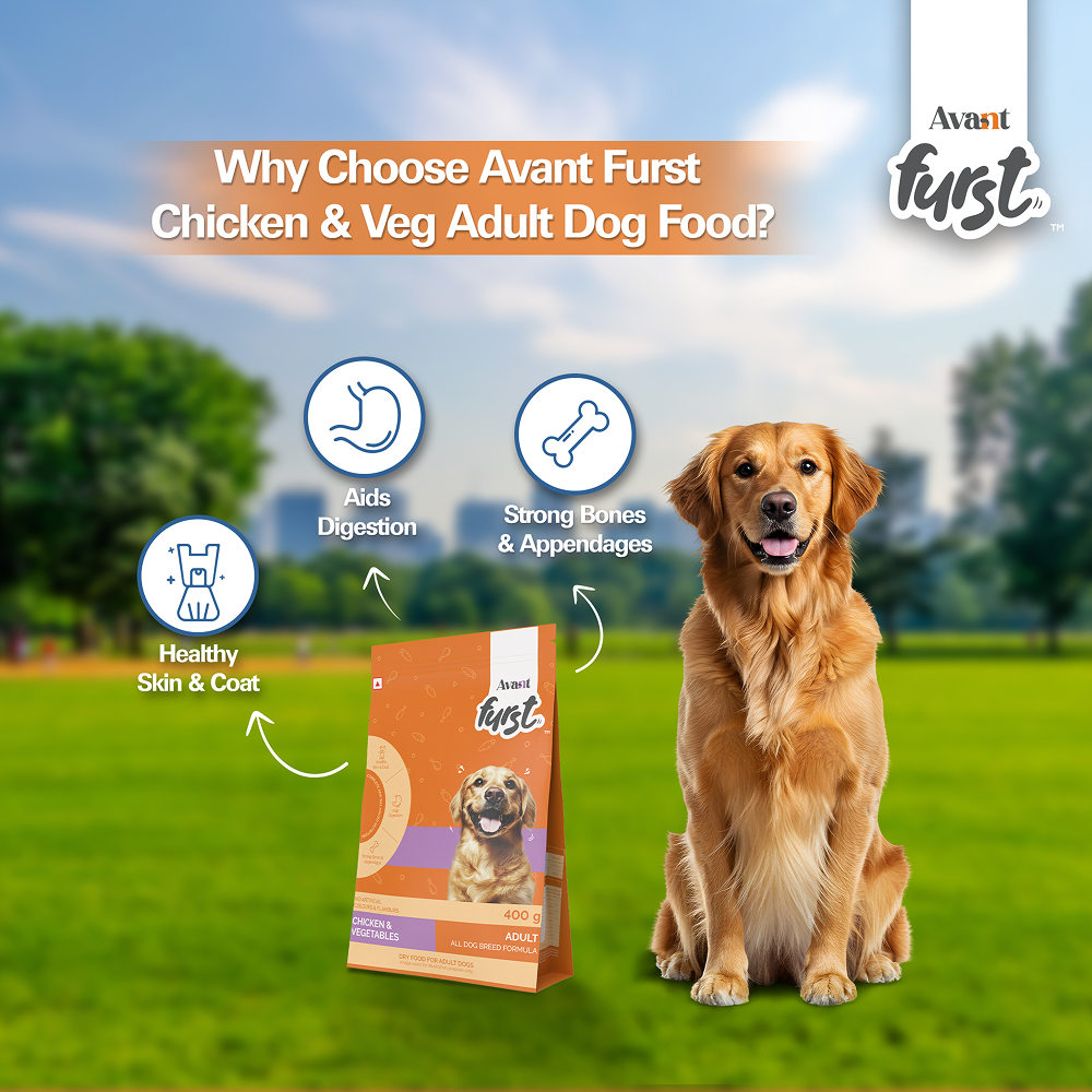 Avant Furst Chicken and Vegetable Adult Dog Dry Food image 6