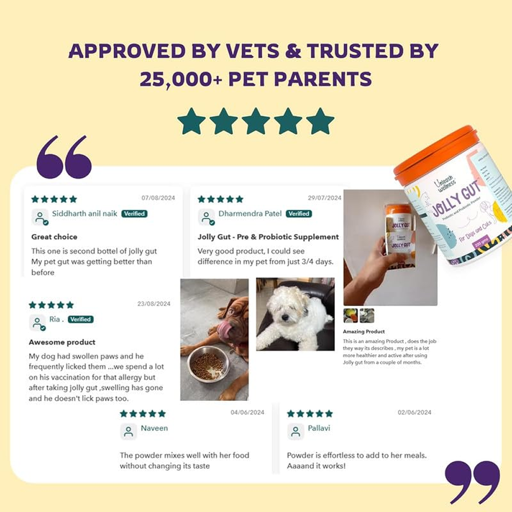 Unleash Wellness Jolly Gut Pre and Pro Biotic Supplement for Dogs and Cats image 7