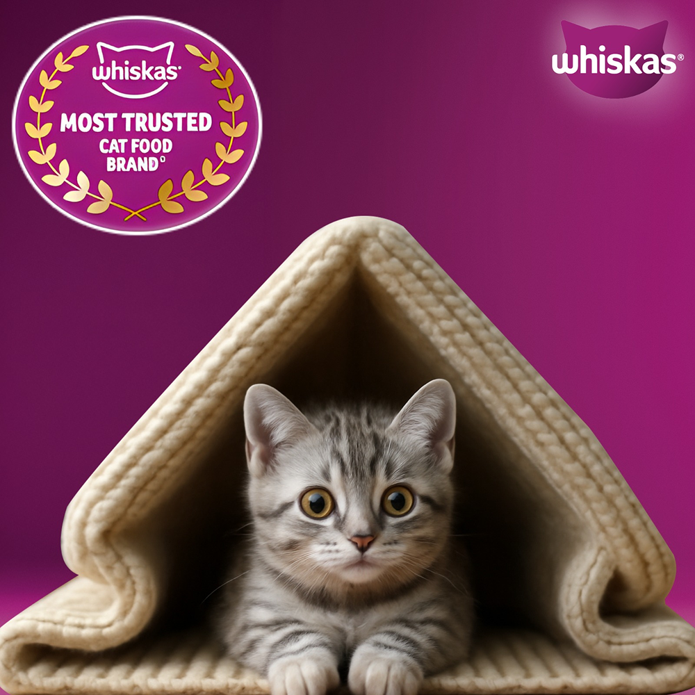 Whiskas Ocean Fish Kitten Cat Dry Food image 9