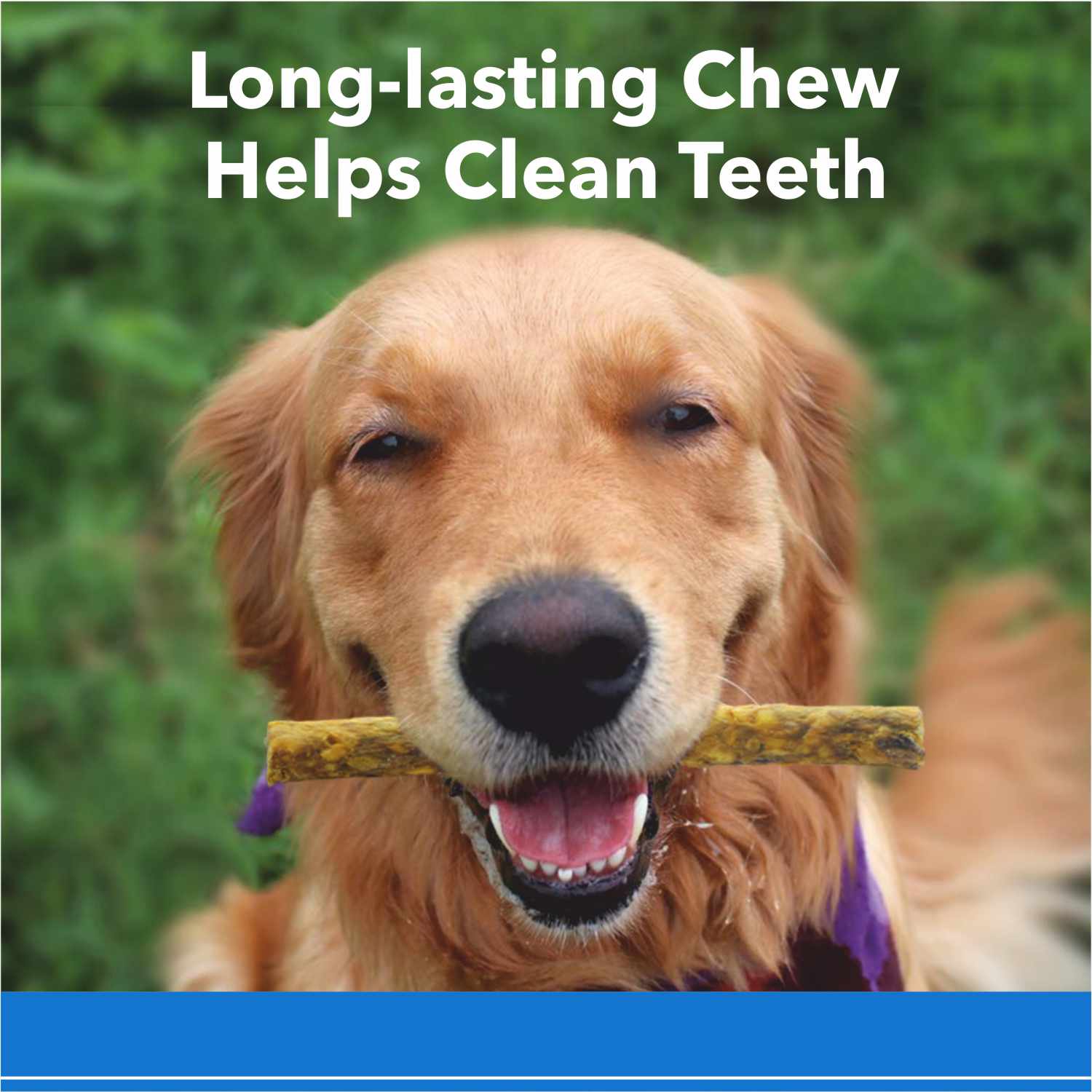 Purepet Chicken Flavor Munchy Sticks Dog Treats image 6