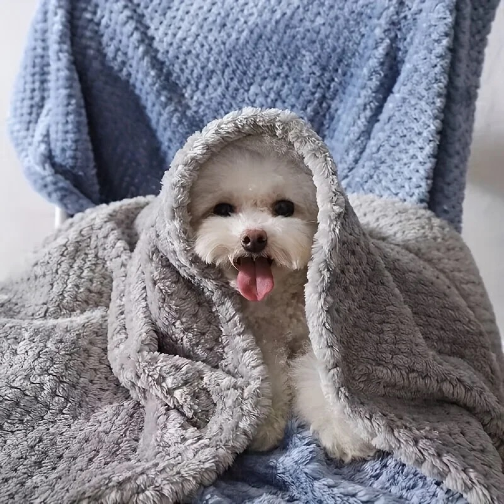 Talking Dog Club Blankies Warm Blankets for Dogs and Cats (Grey) image 2