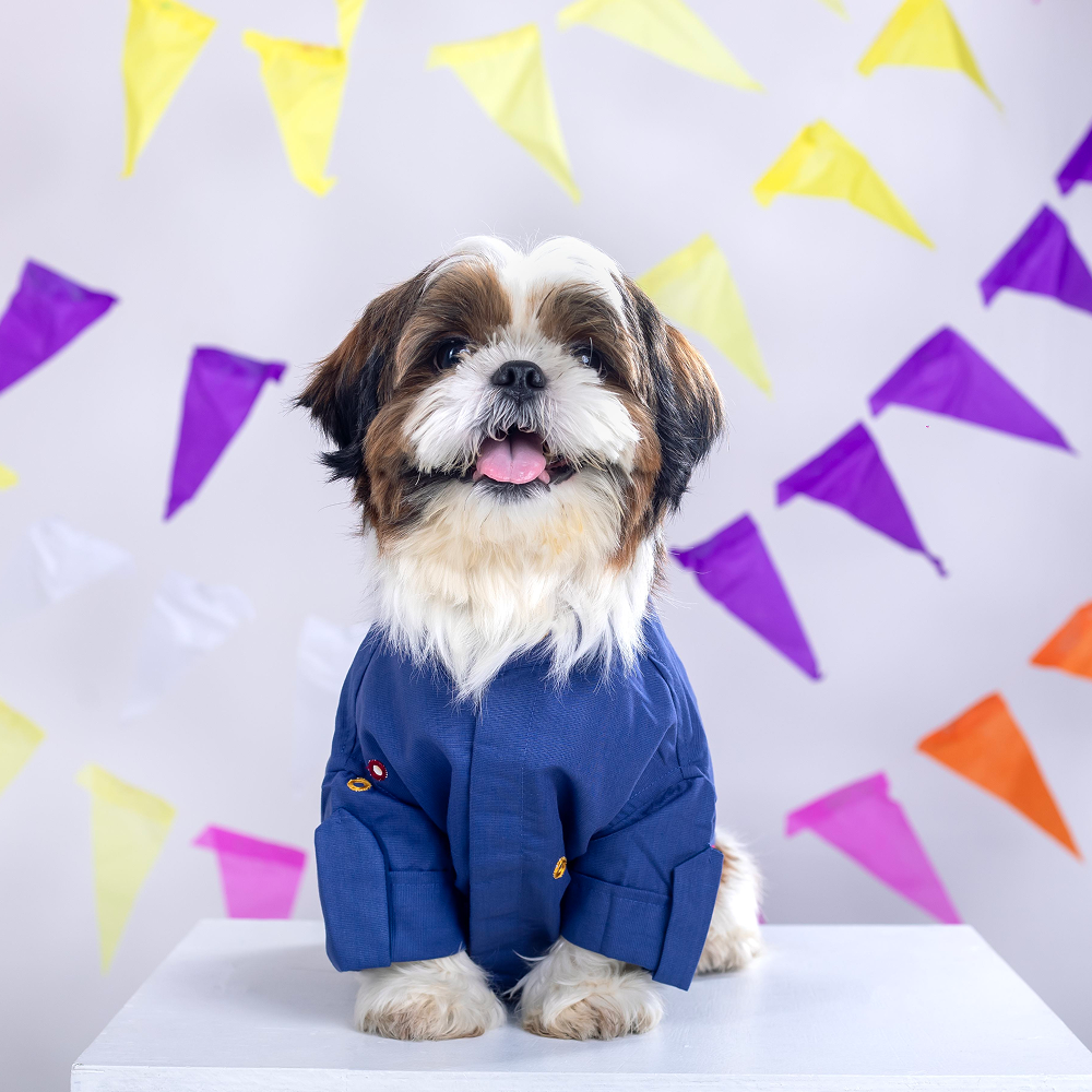 15 Furries Mirrorwork Kurta for Dogs (Persian Blue) image 5