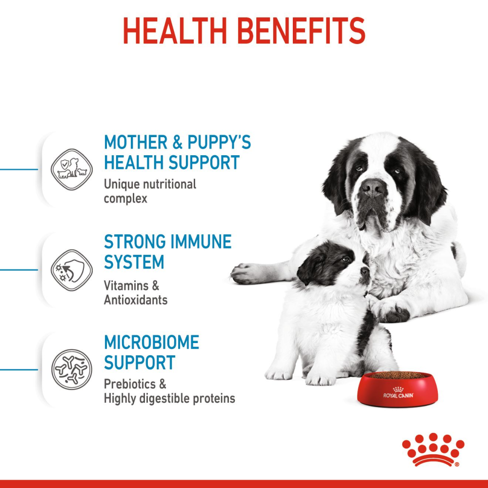 Royal Canin Giant Breed Dog and Puppies Starter Dog Dry Food image 5