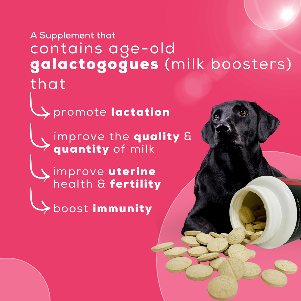 Venttura Lacto Plus Milk Boosters Chewable Tablets for Dogs image 6
