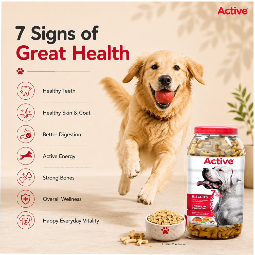 Active Chicken and Vegetables Biscuit Dog Treats (Buy 1 Get 1) image 3