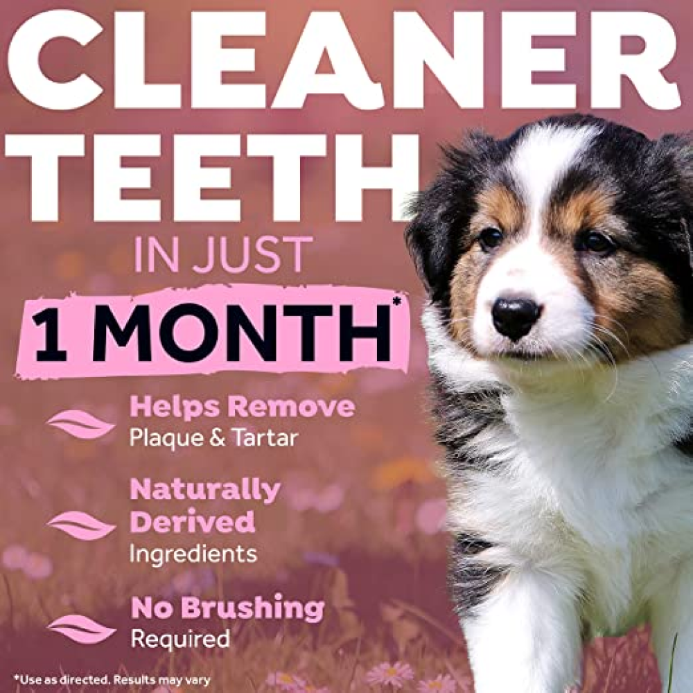 Tropiclean Fresh Breath Puppy Clean Teeth Gel for Dogs image 9