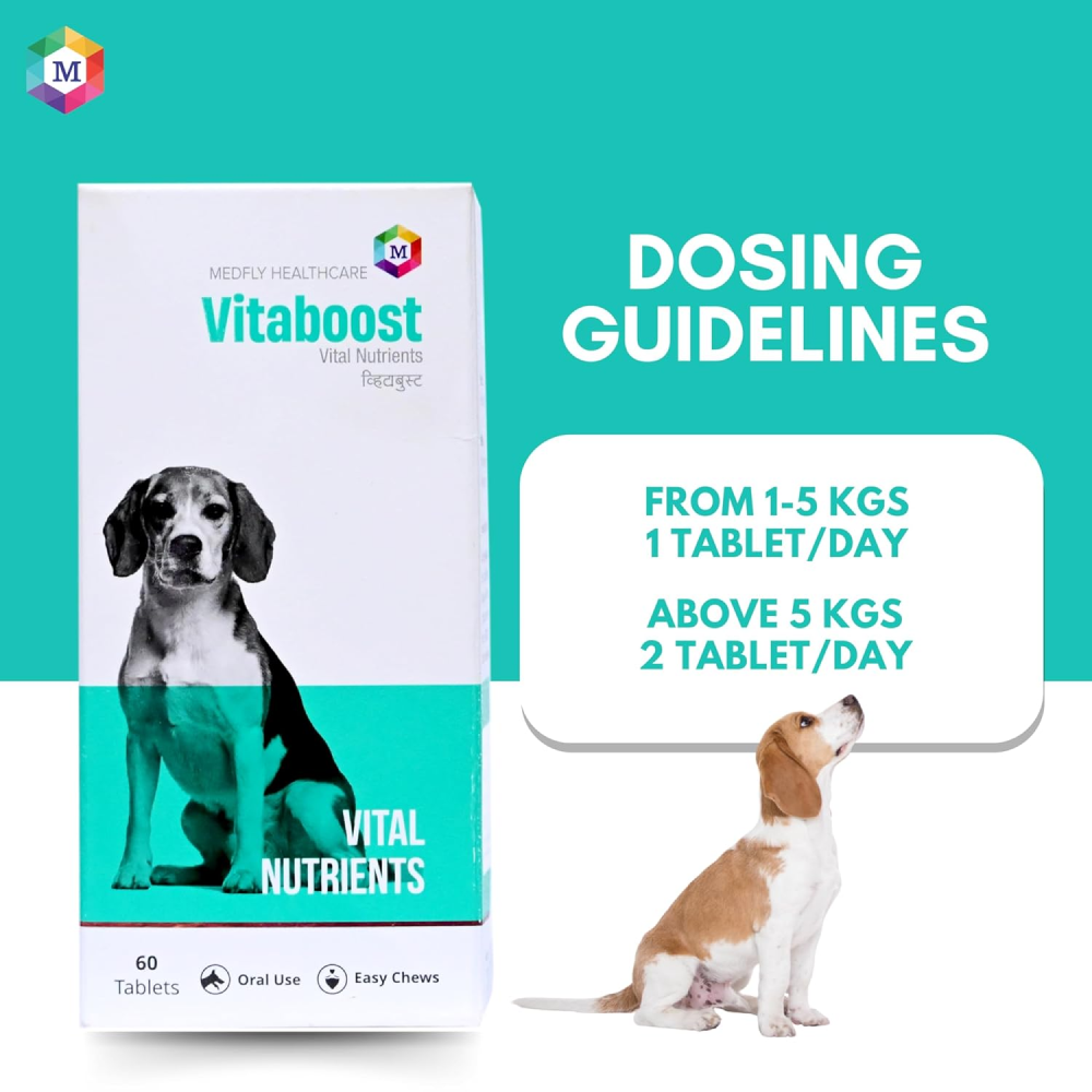 Medfly Healthcare Vitaboost for Dogs and Cats (Pack of 60 Tablets) image 6