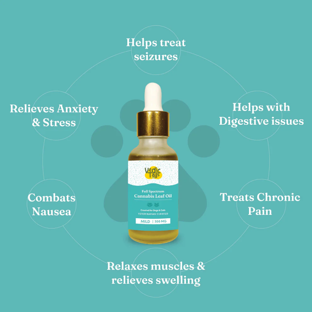 Vedic Tails Mild Cannabis Leaf Oil for Dogs and Cats image 2