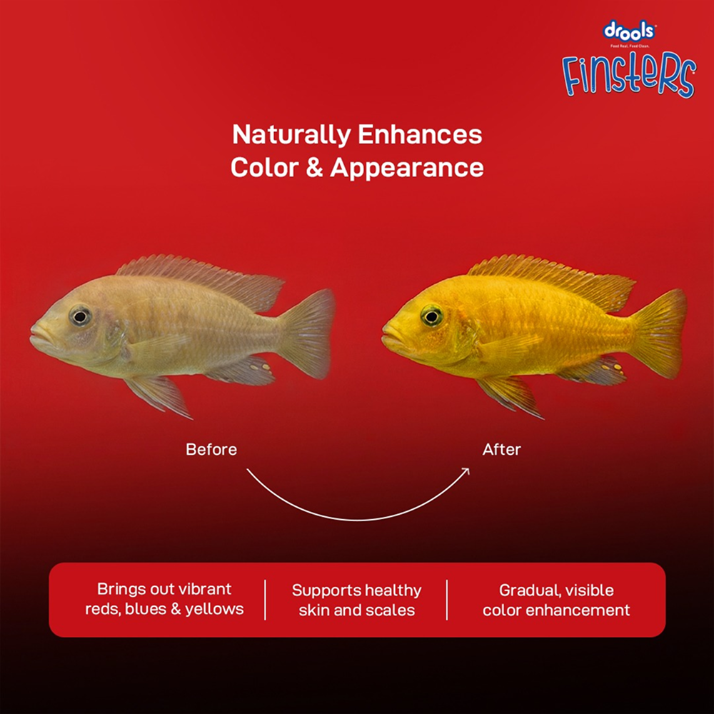 Drools Finsters Cichlid Fish Food image 6