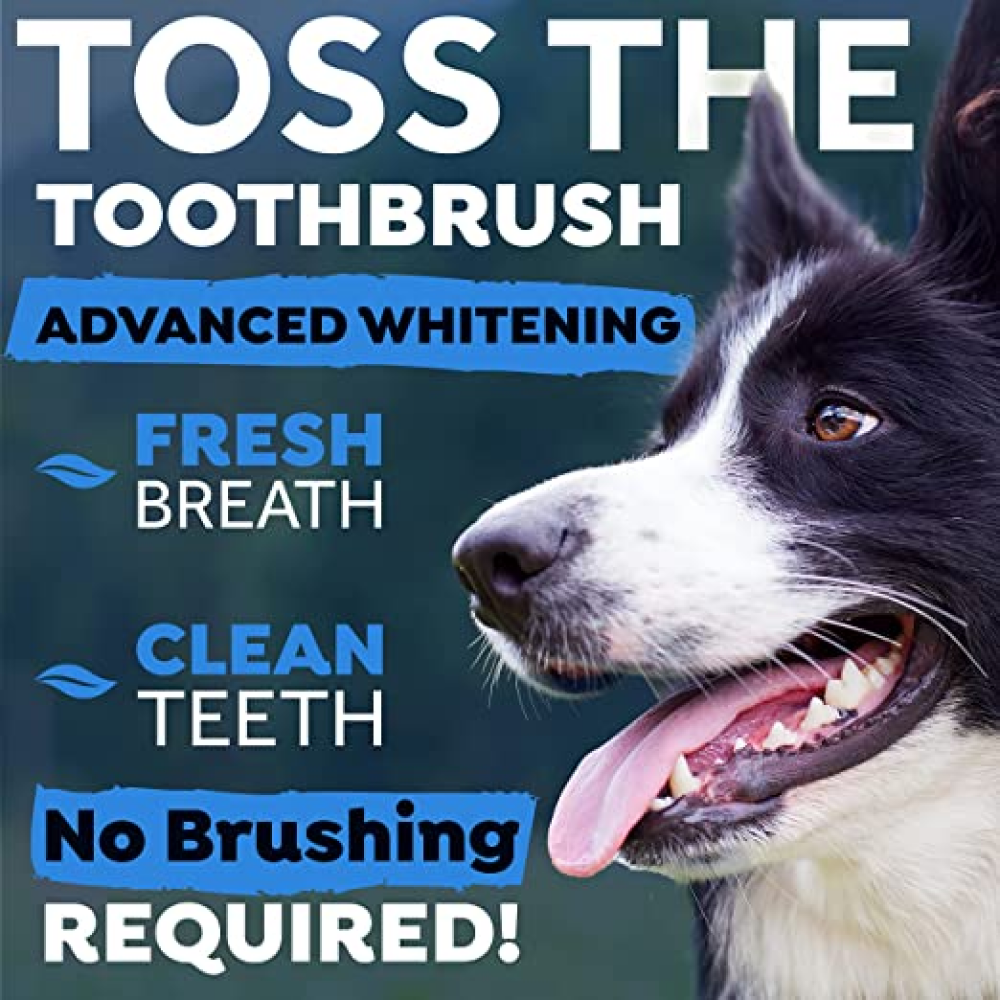 Tropiclean Advanced Whitening Oral Care Water Additive for Dogs image 8