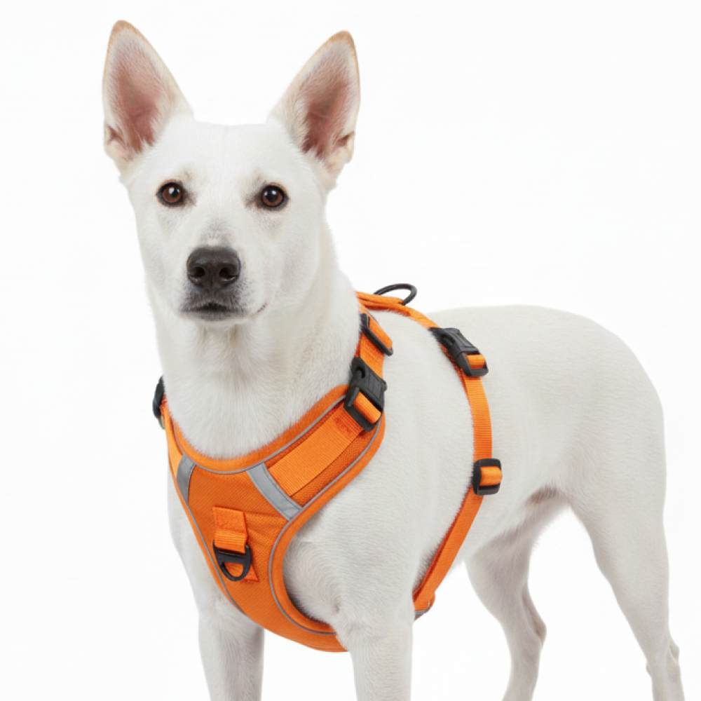Skatrs Fully Padded Comfort Fiery Reflective Harness for Dogs & Cats (Orange) image 1