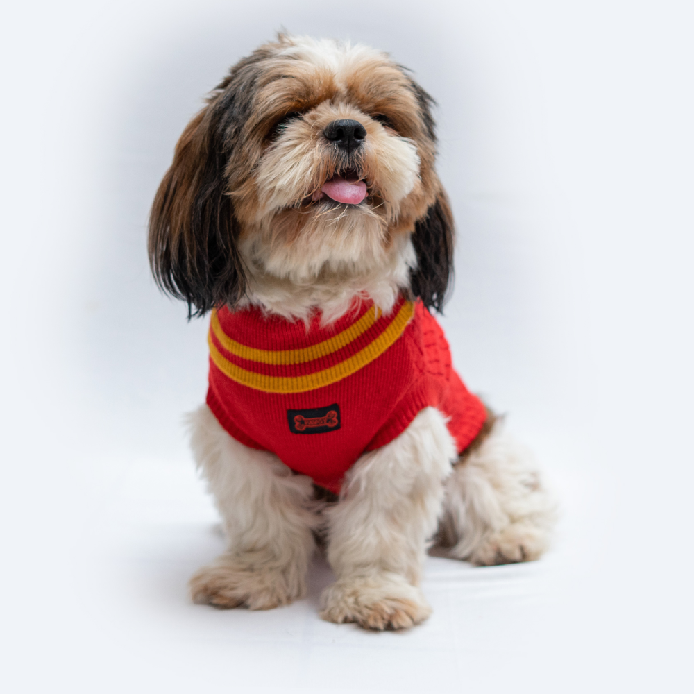 Pawgypets High Neck Cable Kint Sweater for Dogs and Cats (Red) image 5