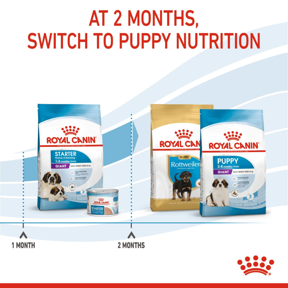 Royal Canin Royal Canin Giant Starter, Mother & Babydog Dog Dry Food image 8