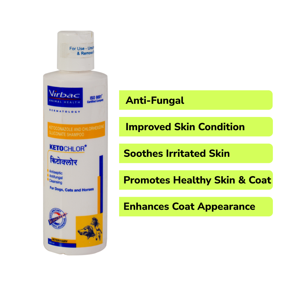 Fungal Infection Care SuperKit for Dogs and Cats image 6