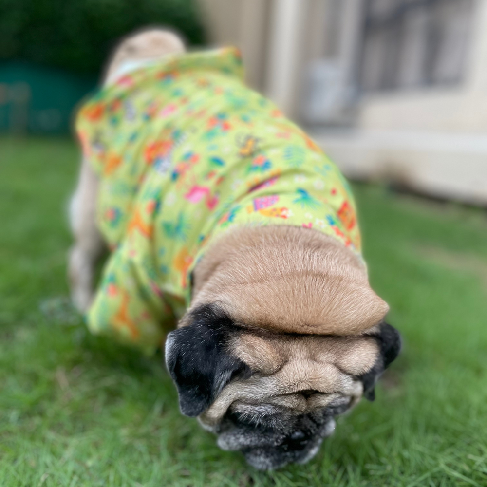15buttons Madagascar Shirt for Dogs image 2