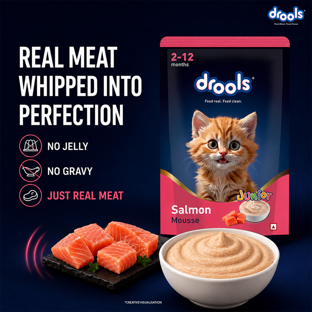 Drools Salmon Mousse Kitten Cat Wet Food image 2