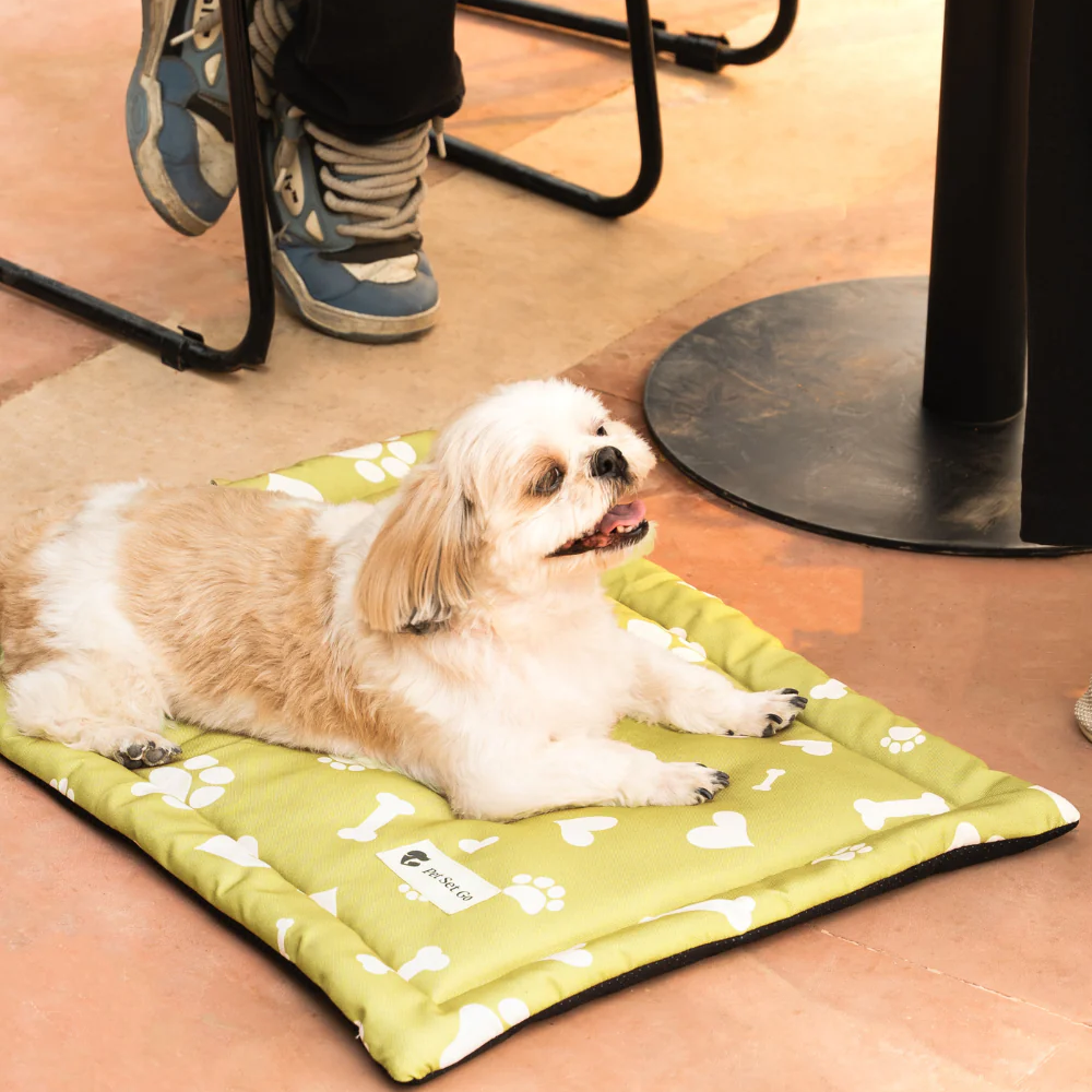 Pet Set Go Paw and Bones Heaven Mat for Dogs and Cats (Green) image 2