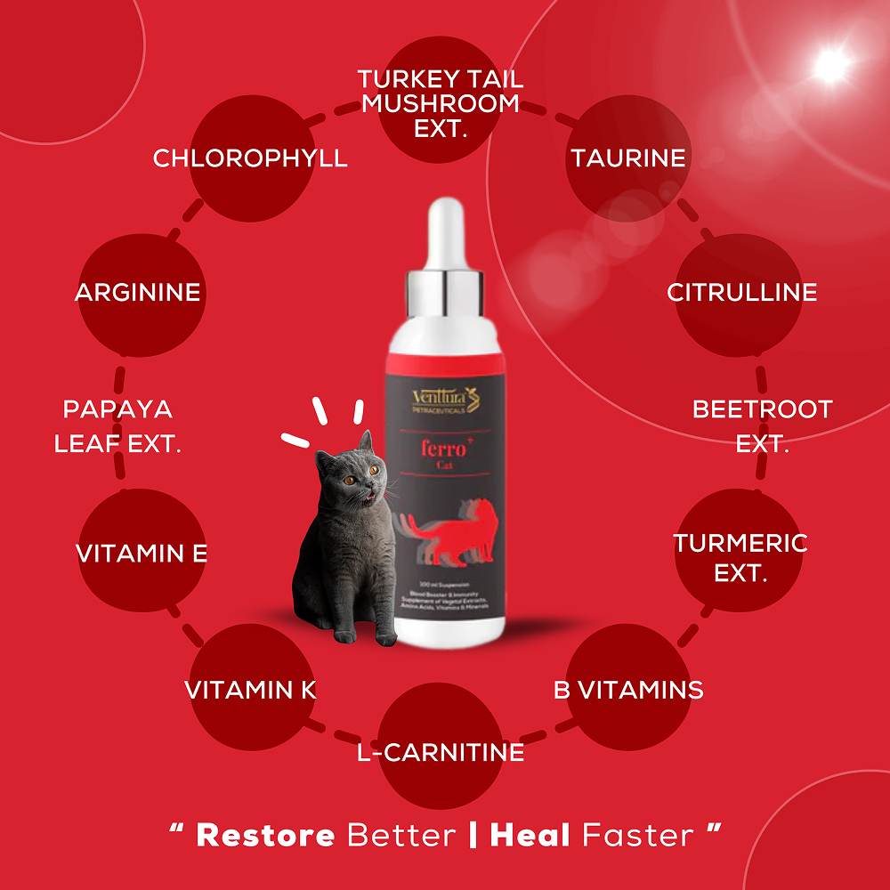 Venttura Ferro Blood Booster & Immunity Supplement for Cats image 2