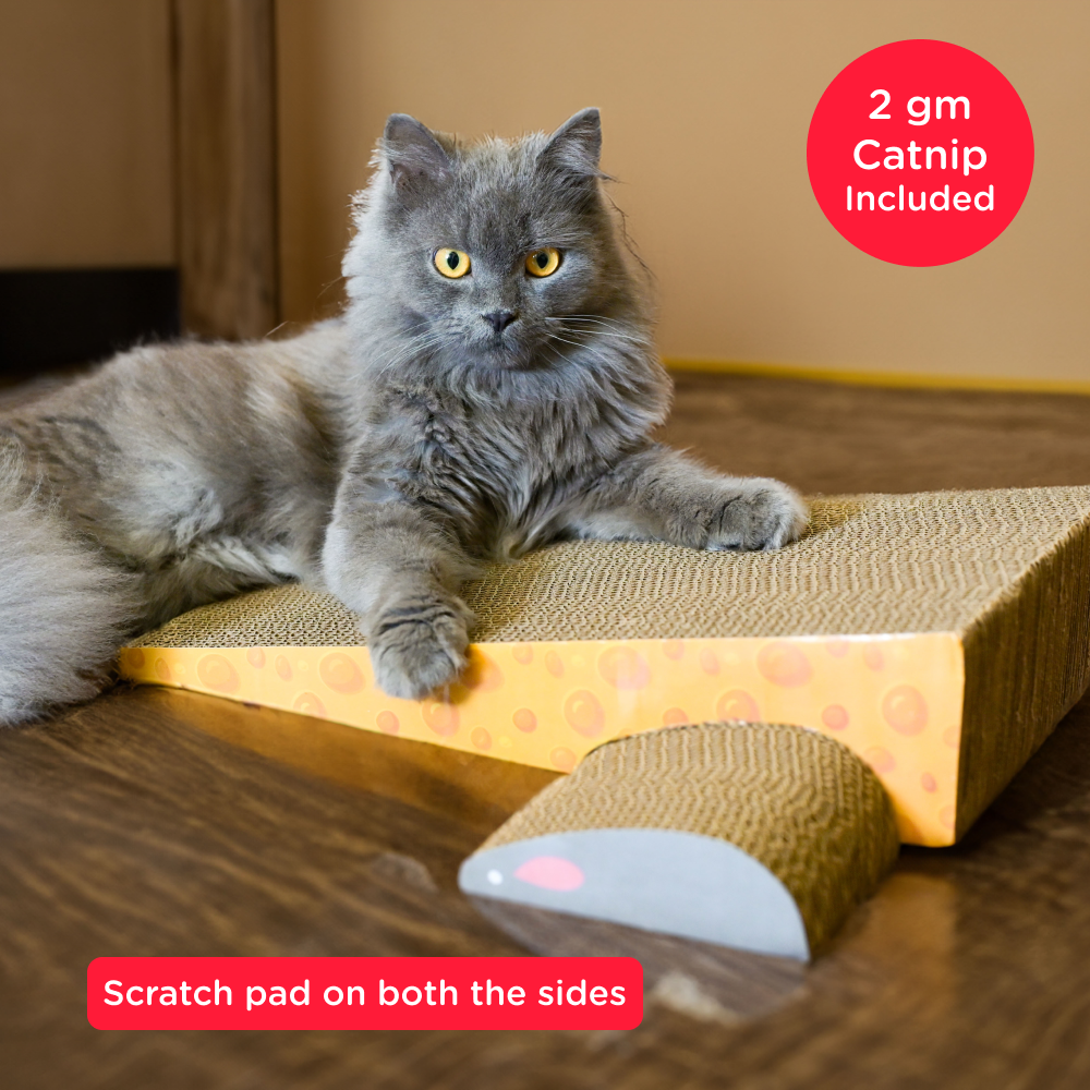 Skatrs Say Cheese Corrugated Cardboard Scratcher Pad Toy with Catnip for Cats (Length 41cm) image 2