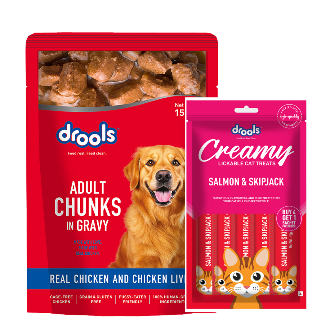 Drools Real Chicken & Chicken Liver Chunks in Gravy Adult Dog Wet Food