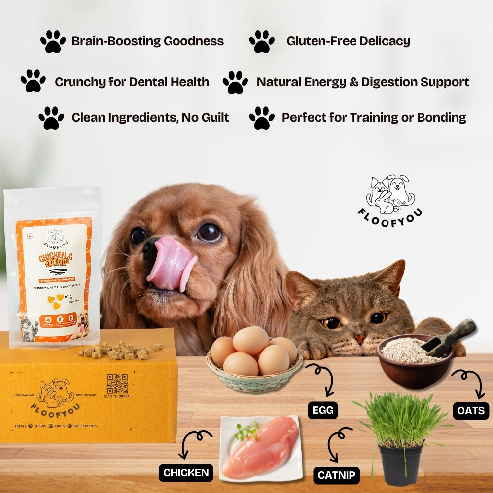 Floofyou Chicken Catnip Oven Baked Cookie Dog Treats image 4