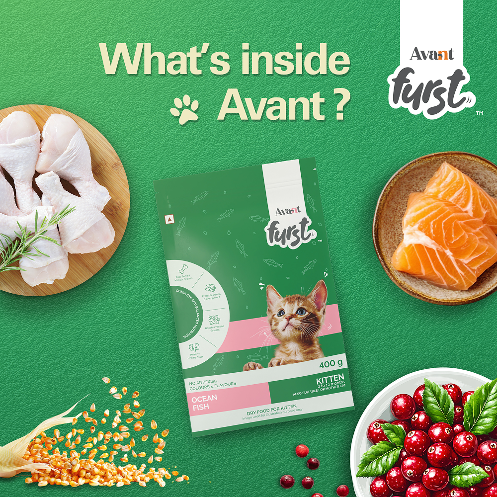 Avant Furst Ocean Fish Flavour Kitten Cat Dry Food image 5