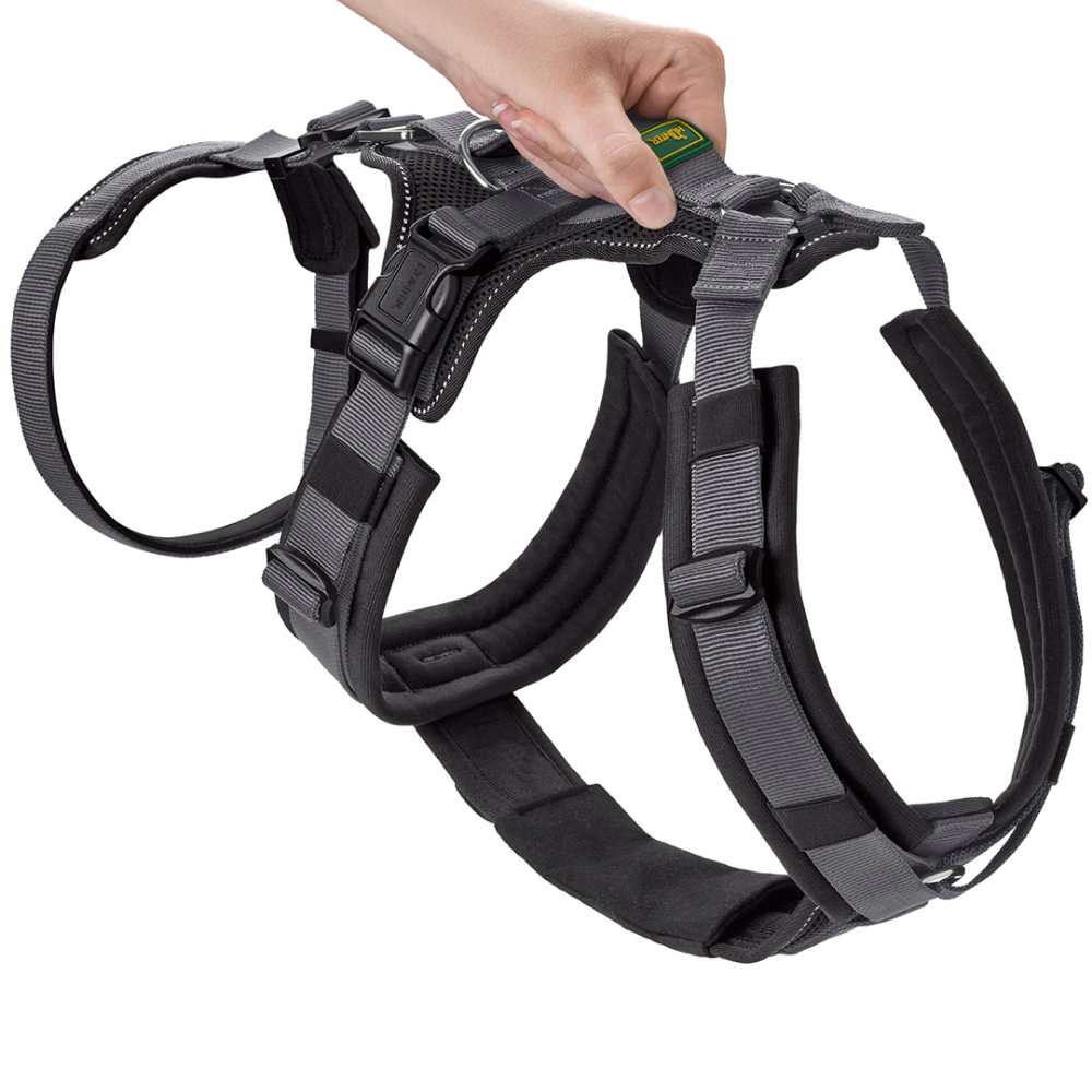 Hunter Maldon Safety Harness for Dogs (Black) image 2