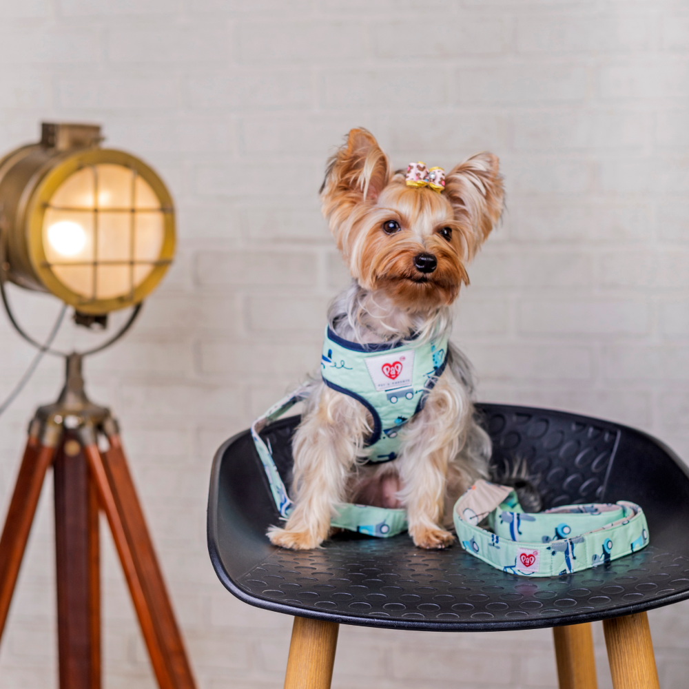 Pet And Parents Rolly Polly Reversible Harness for Dogs image 5