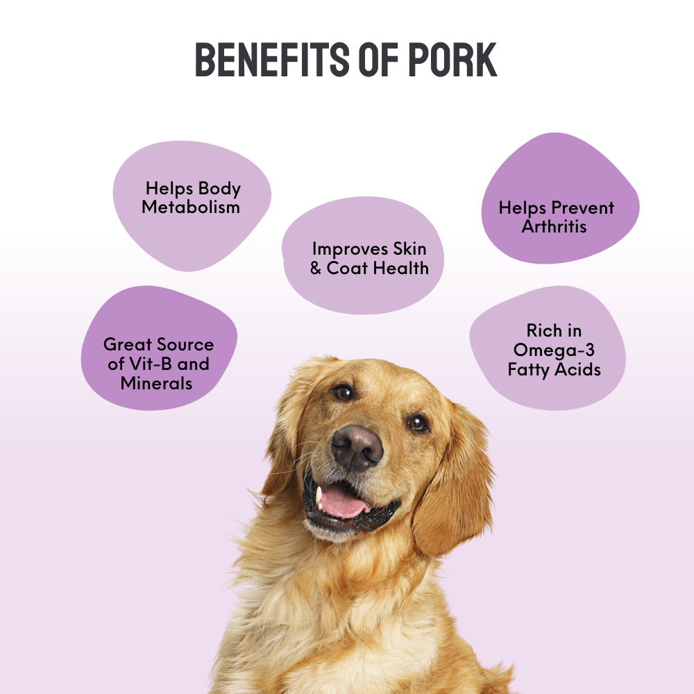 Floof & Co Chewy Pork Chew Jerky Dog Treats image 3