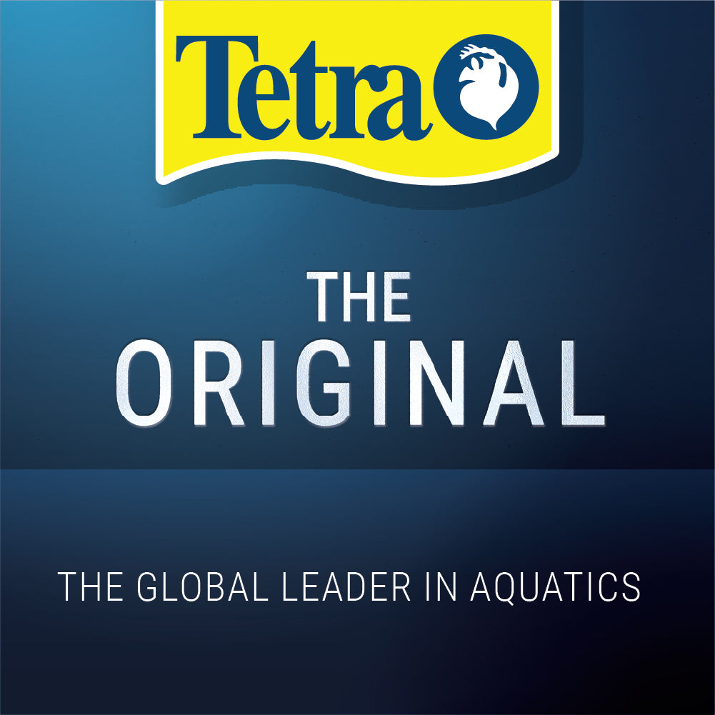 Tetra TetraMin Complete All Tropical Fish Food image 7
