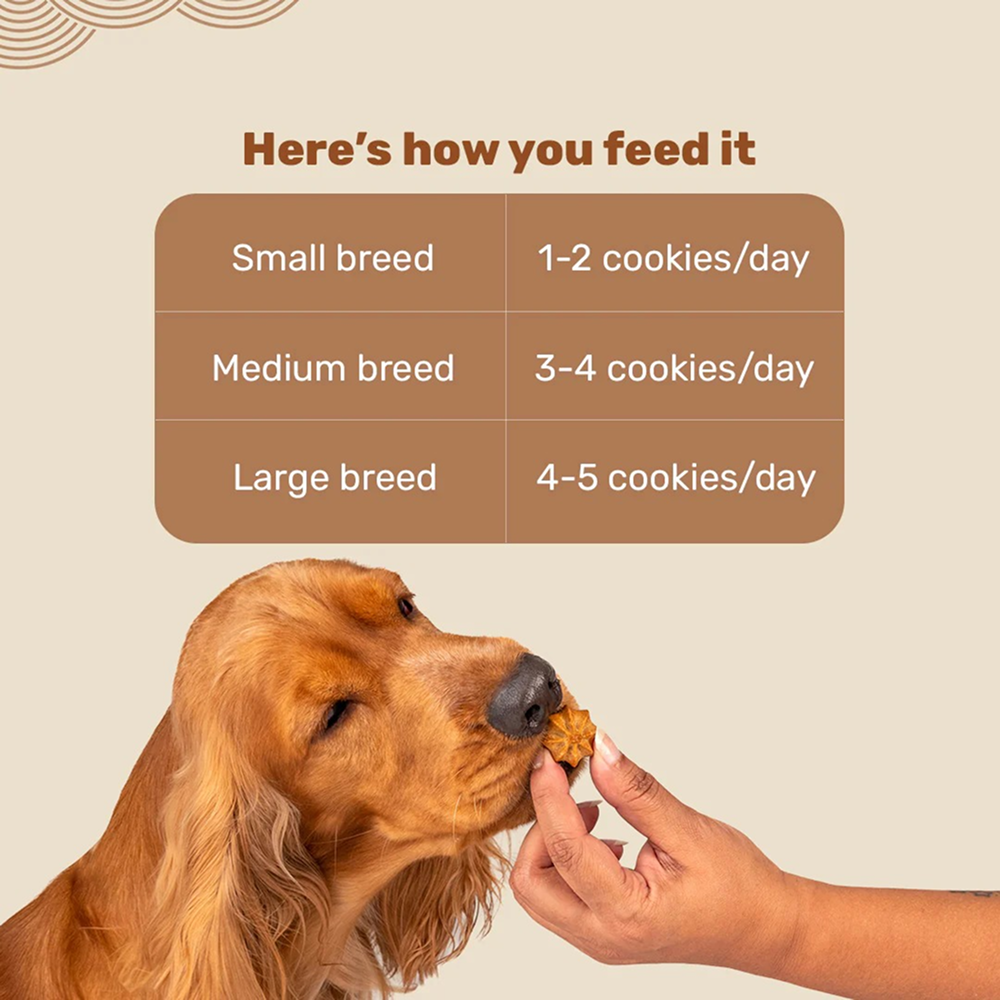 HUFT Gluten Free Goat Milk & Grilled Chicken Cookie Dog Treats image 5