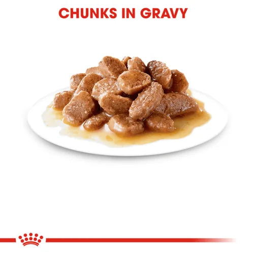 Royal Canin Instinctive Adult Gravy Cat Wet Food image 3