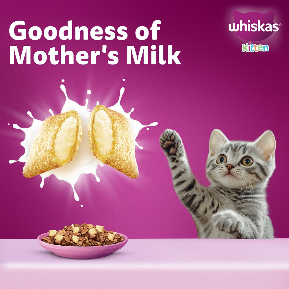 Whiskas Mackerel Flavour Kitten (2 to 12 months)Cat Dry Food image 9