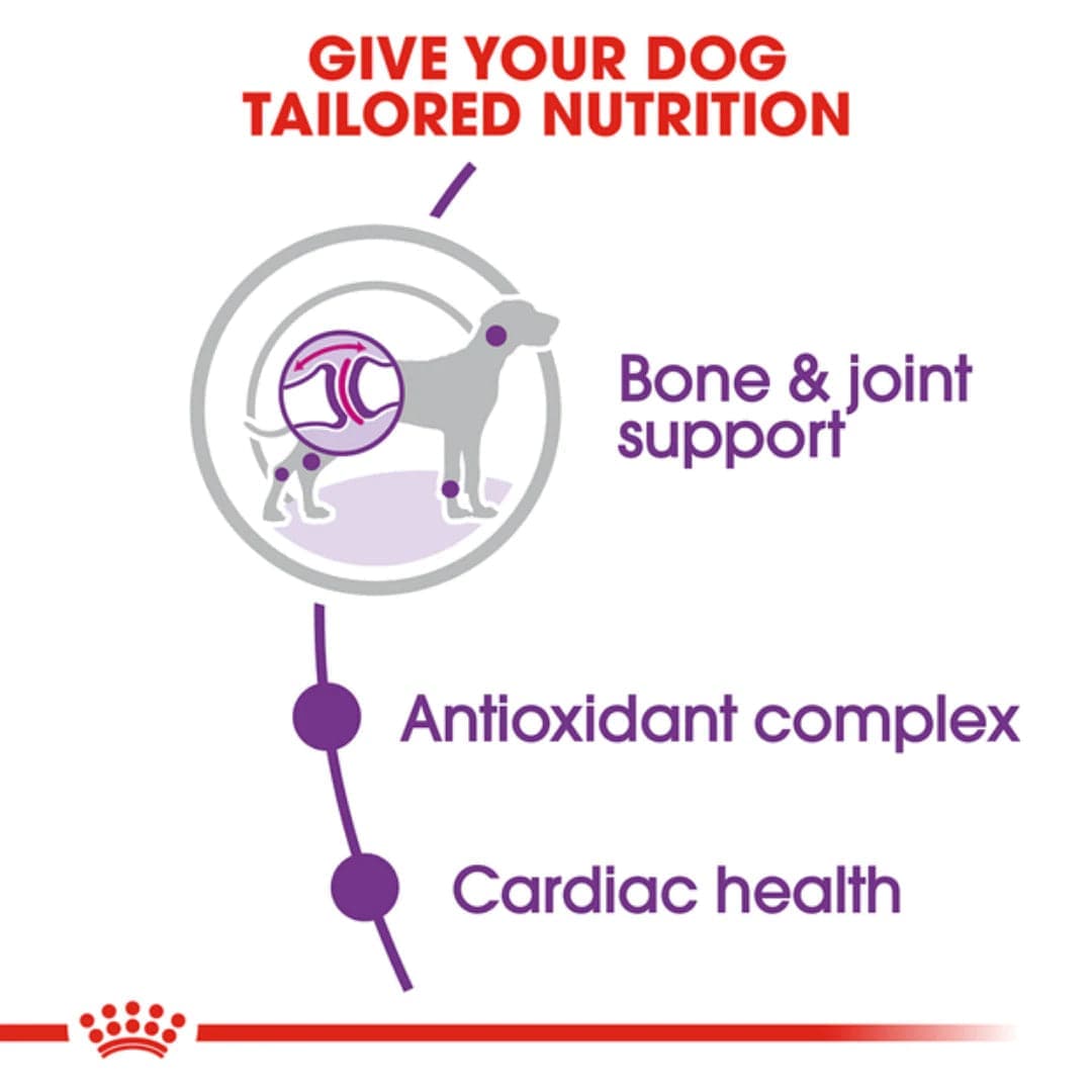 Royal Canin Giant Adult Dog Dry Food image 9